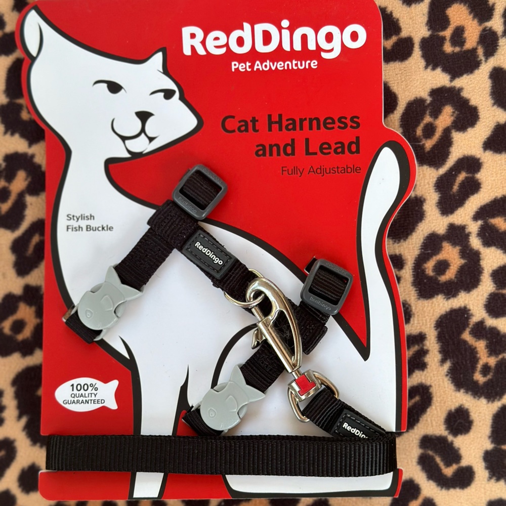 Red Dingo Cat Harness